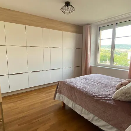 Appartement Fer D'eiffel Nancy 6 Pers Pompey